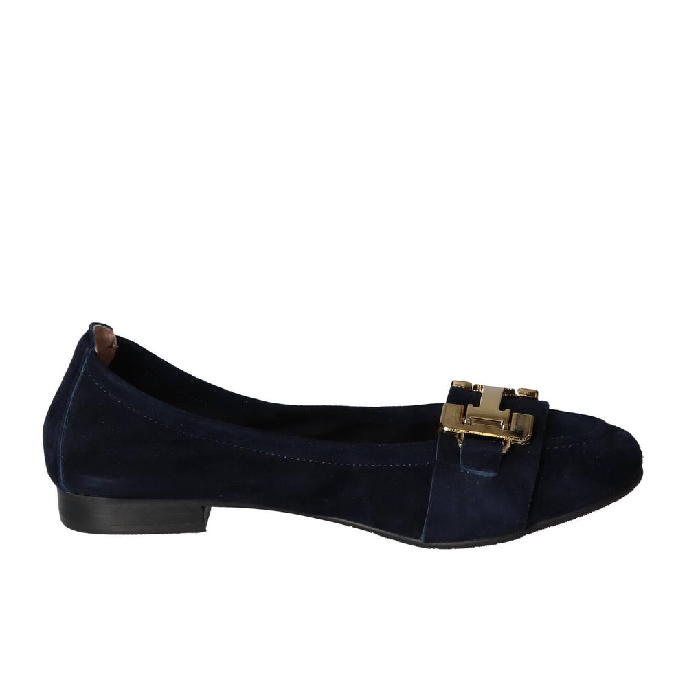 Ballerina's, Blauw