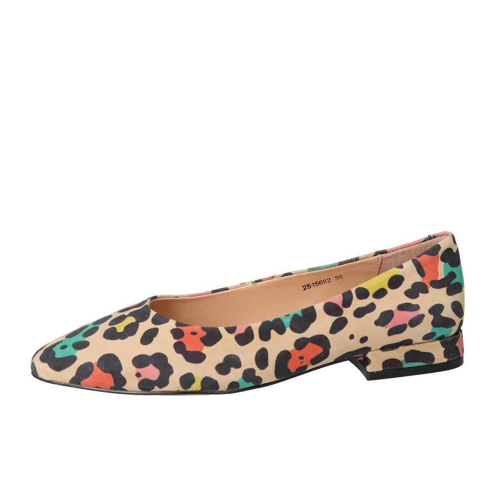 Ballerina's, Multicolor