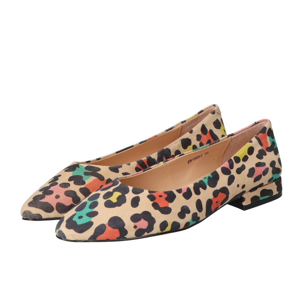 Ballerina's, Multicolor