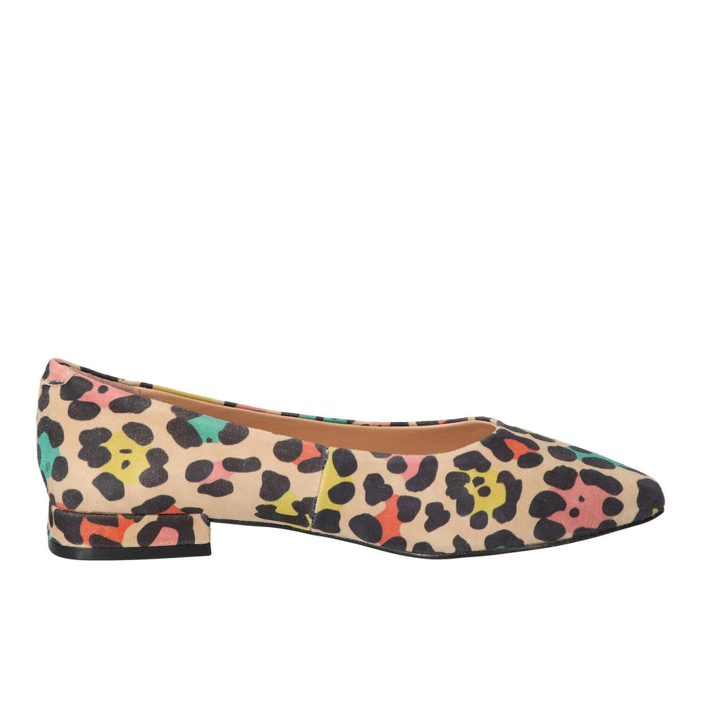 Ballerina's, Multicolor