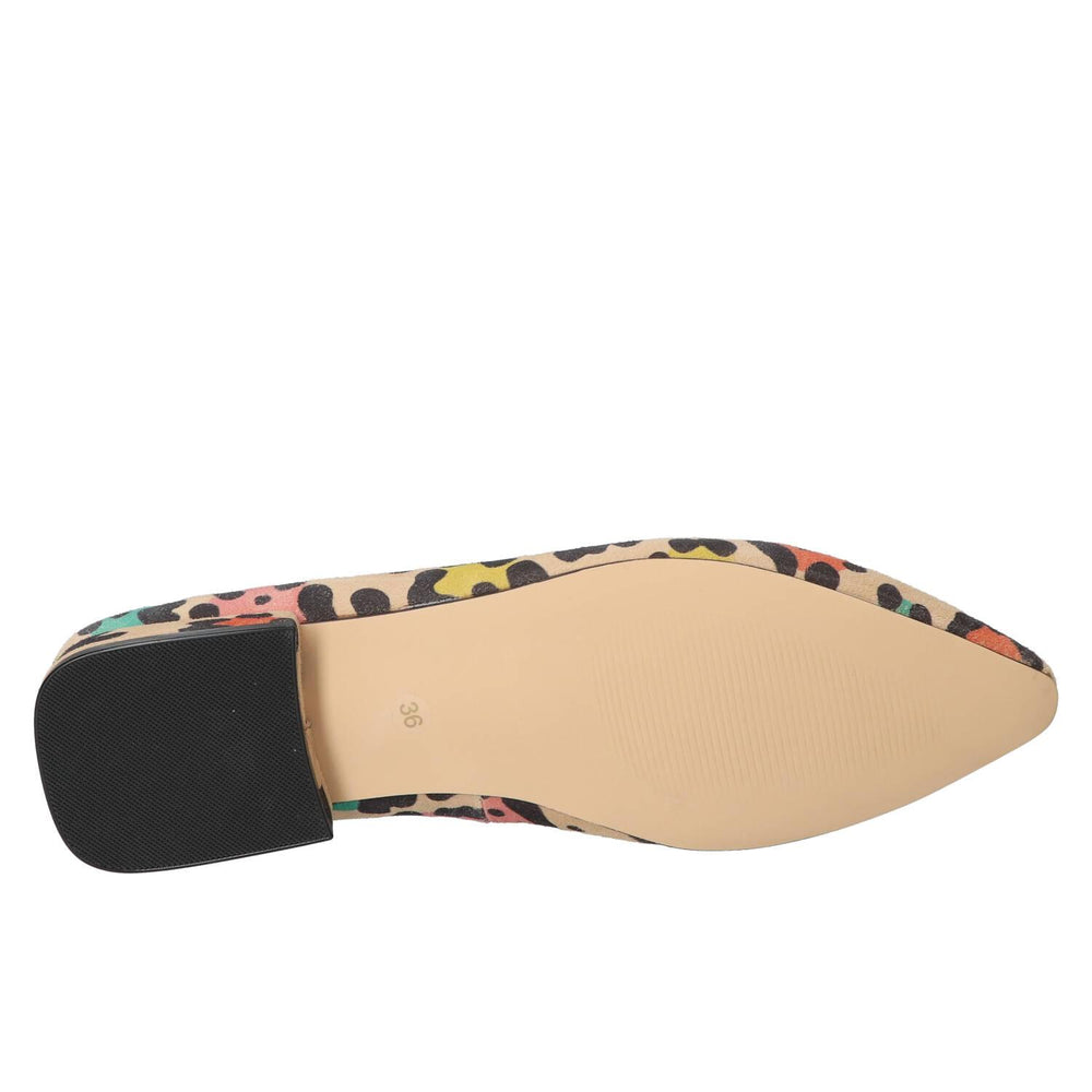 Ballerina's, Multicolor