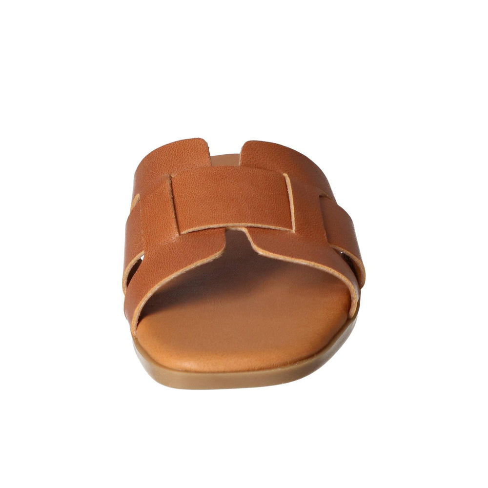 Mules, Cognac