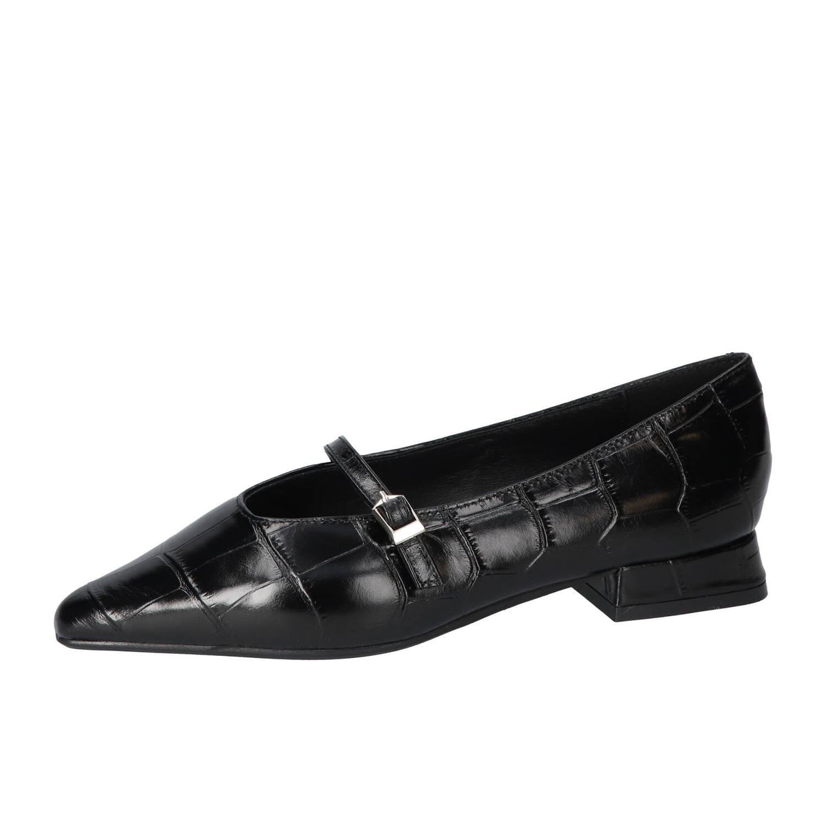 Ballerina's, Zwart