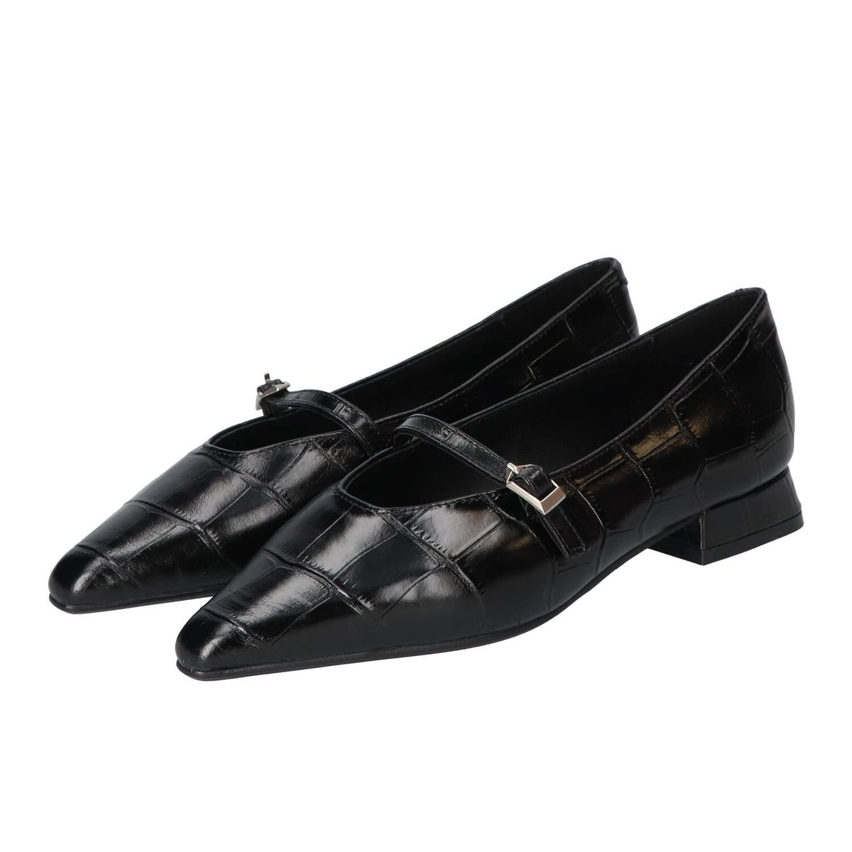 Ballerina's, Zwart