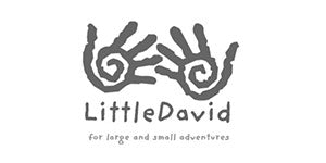 LITTLE DAVID